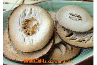 �ۺ���������빦Ч