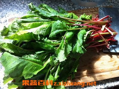 ���ܲ���Ҷ