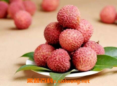 ����֦�ĺô��빦Ч����