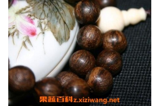 �����ִ��Ĺ�Ч�븱����