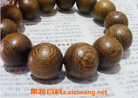 �����ִ��Ĺ�Ч�븱����