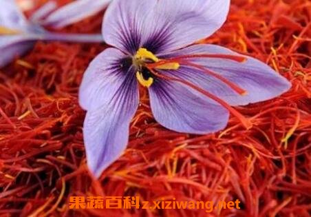 �غ컨��ô��Ч����� �غ컨�ĳ����Է�