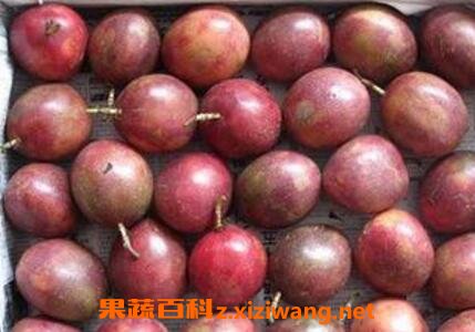 ��������Ӫ����ֵ
