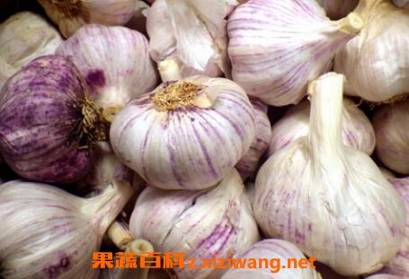 �Դ���ĺô��빦Ч����