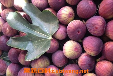 �����ܳ�ʲôˮ�� �����ܳ�ˮ����