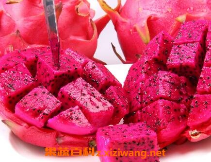 �����ܳ�ʲôˮ�� �����ܳ�ˮ����
