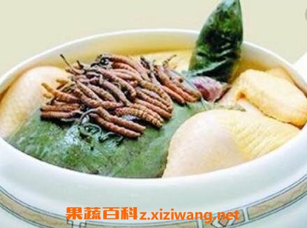 �����Ĳ����ʳ�� �����Ĳ���γ�