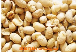 ���ƶ��Ĺ�Ч������