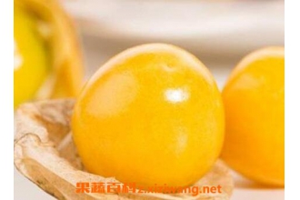��ƹ���Ӫ����ֵ�빦Ч����