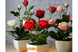 �¼�������ֳ������ע������