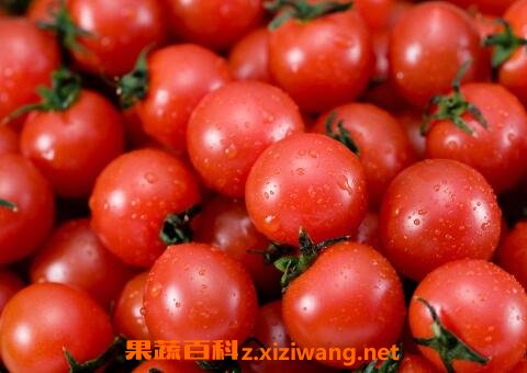 ǧ������Ӫ����ֵ����Ч