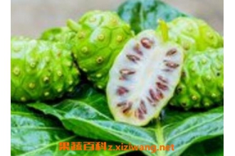 ŵ������Ӫ����ֵ����Ч