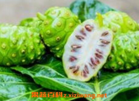 ŵ������Ӫ����ֵ����Ч
