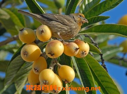 ���ù���Ӫ����ֵ