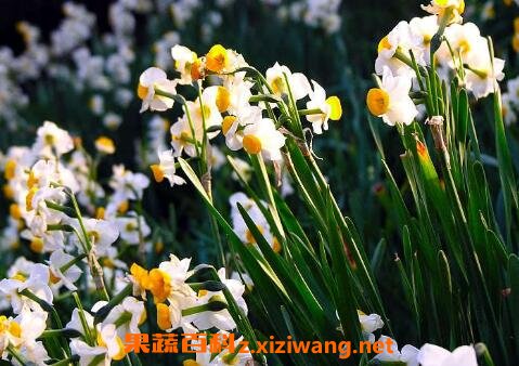ˮ�ɻ�����ֳ����