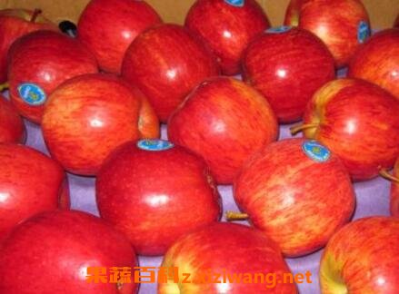 ��ହ���Ӫ����ֵ�빦Ч