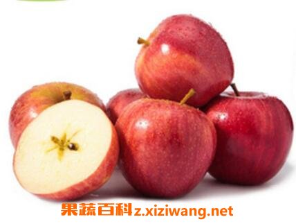 ��ହ���Ӫ����ֵ�빦Ч