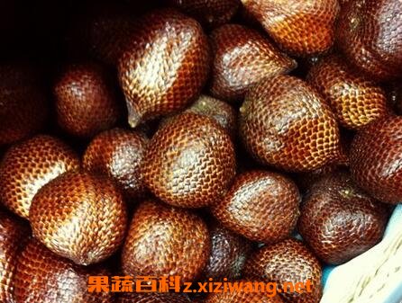  ���͹���Ӫ����ֵ