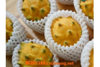 �������Ӫ����ֵ�빦Ч����