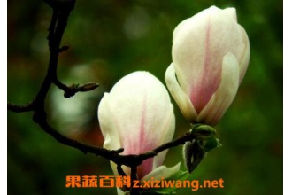 ������������ֳ������ע������