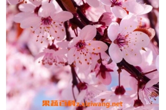 ���쿪�Ļ�����Щ ��Щ�����ڴ��쿪��