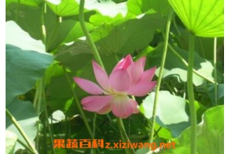 ˮܽ�ػ�����ֳ������ע������