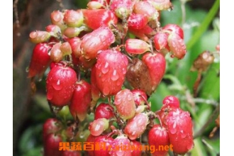 ë����������ֳ������ע������