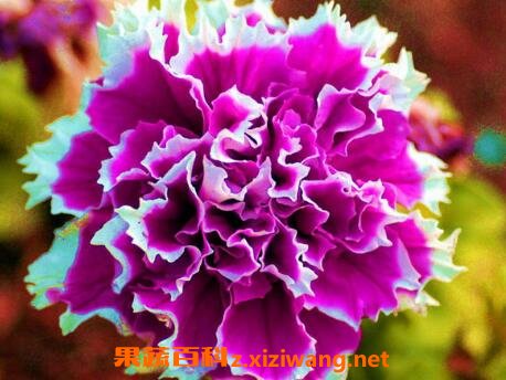 �ذ갫ǣţ������ֳ����