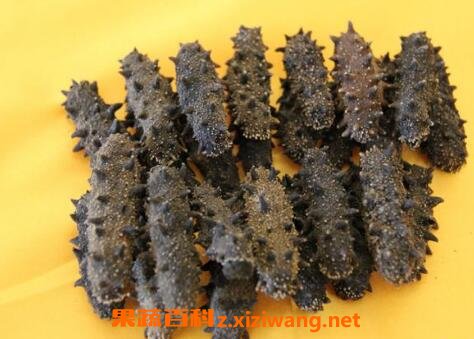 �ɺ��εı����ڶ೤ʱ�� �ɺ�����α���