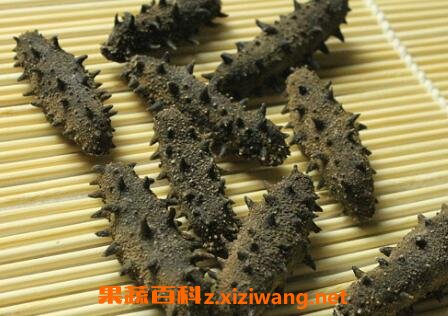 �ɺ��εı����ڶ೤ʱ�� �ɺ�����α���