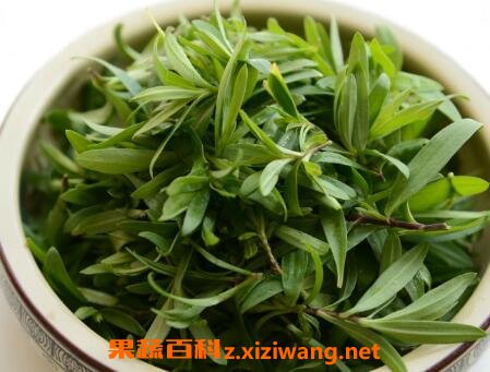 ���ǲ˵�Ӫ����ֵ