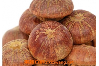 ������ҩ�ü�ֵ�빦Ч����