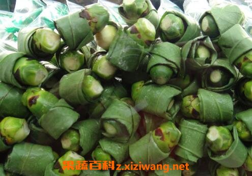 槟榔有什么作用槟榔的危害 水果知识 做法 功效与作用 营养价值www Asqxzs Com