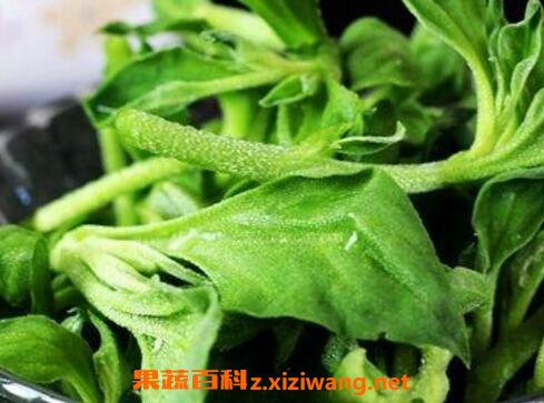 ������ô��ֲ ���ݵ���ֲ����