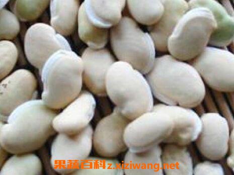 ���ʵİױⶹ��ô��