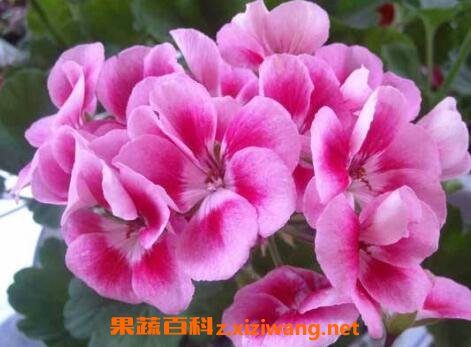���ܷ������ڵĻ�ͼƬ
