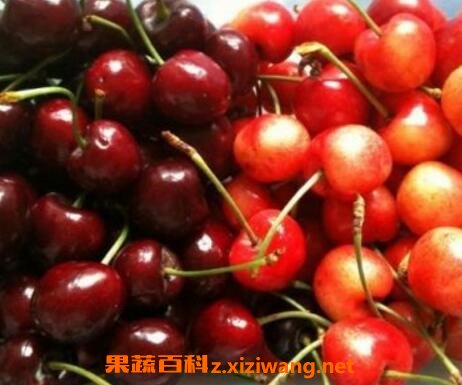 ӣ�Һͳ����ӵ�����