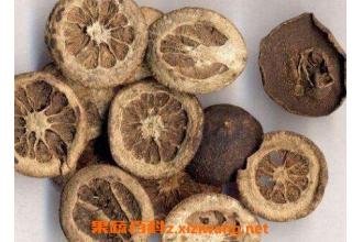 ��ʵ�������빦Ч ��ʵ��ҩ�ü�ֵ