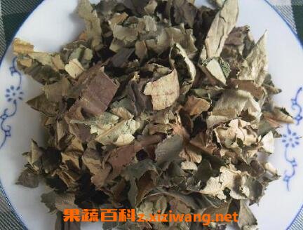 ���ƺ�Ҷ���ϼ��ʲ跽��