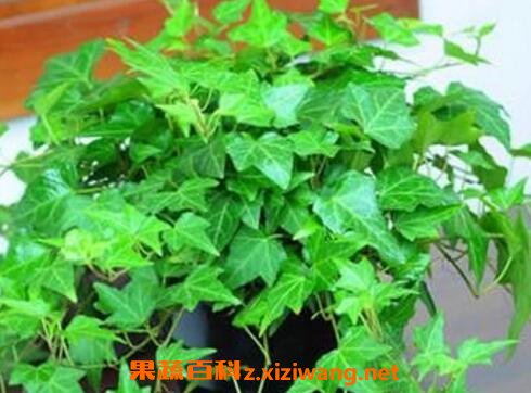 ��������ô�� �����ٵ���ֳ����