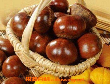 �����ӵĺô��빦Ч������