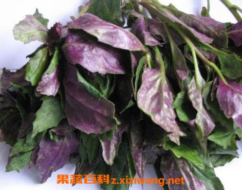 �ϱ�����Ĺ�Ч�����ü�ʳ�÷���