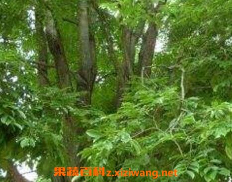 �й���������Ʒ�ִ�ȫ