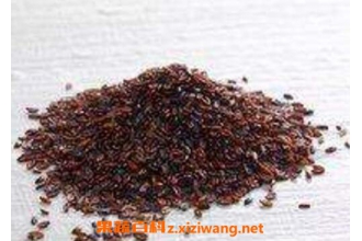 �γ�ǰ�ӵĹ�Ч������