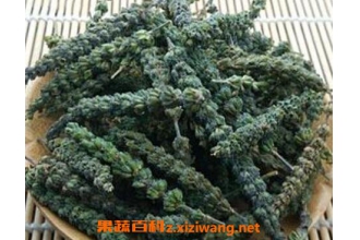 ������Ĺ�Ч�붾������