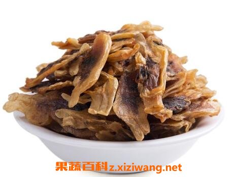 ���ɸɵ�������ʲô