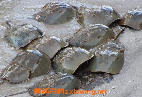 ��������ʲô���