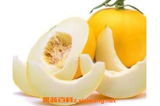 ����ɯ�׹���ô�� ����ɯ�׹ϵĳԷ�