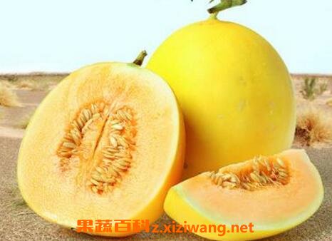  ����ɯ�׹���ô�� ����ɯ�׹ϵĳԷ�