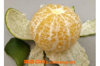 �ʵ۸�ʲôʱ����� �ʵ۸���γ�